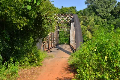 DSC_4865 (Large).JPG